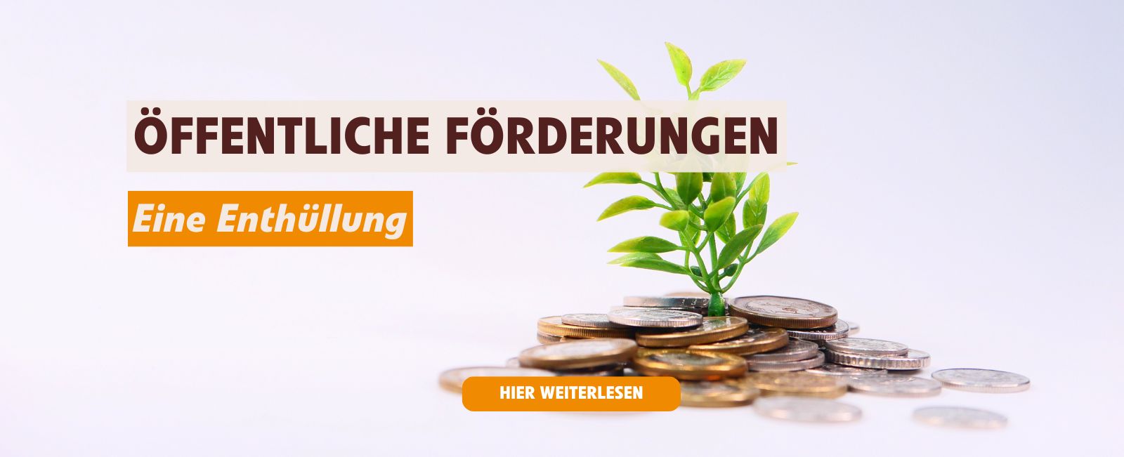 Öffentliche Förderungen – eine Enthüllung