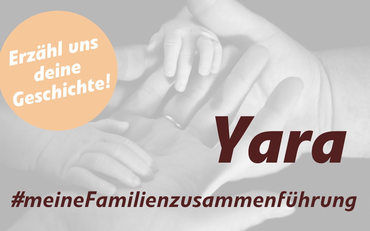 Teaserbild